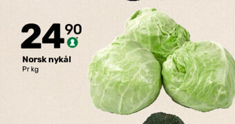 Matkroken Norsk Nykål tilbud