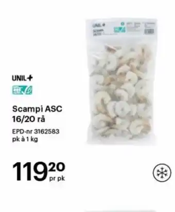 Storcash Scampi ASC 16/20 Rå tilbud