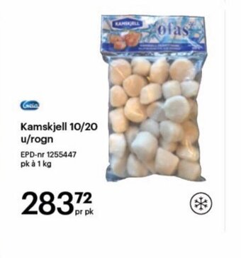 Storcash Kamskjell 10/20 u/Rogn tilbud