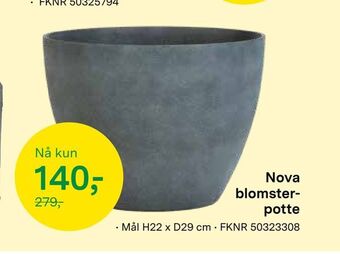Felleskjøpet Nova blomster potte tilbud