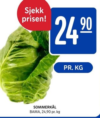 Rema 1000 Sommerkål tilbud