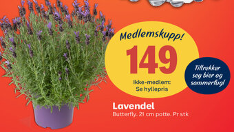 Coop Extra Lavendel tilbud
