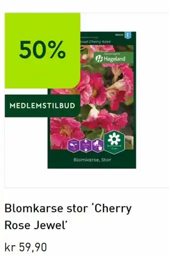 Blomkarse Stor Cherry Rose Jewel
