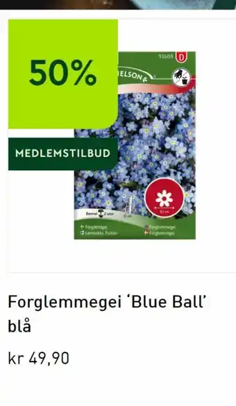 Forglemmegei Blue Ball Blå
