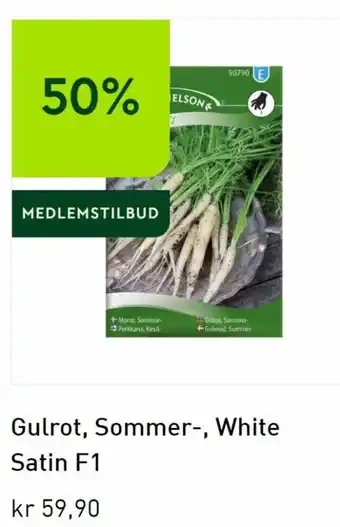 Gulrot Sommer White Satin F1