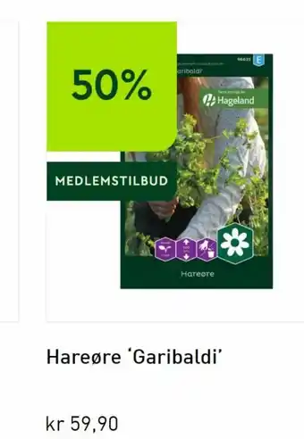 Hageland Hareøre Garibaldi tilbud