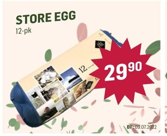 Holdbart Store Egg tilbud