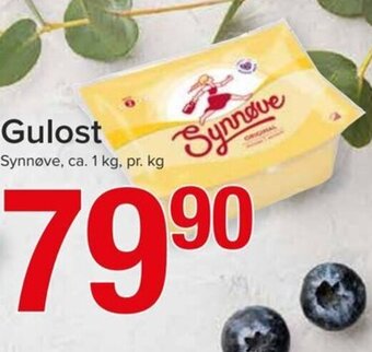 Spar Gulost tilbud