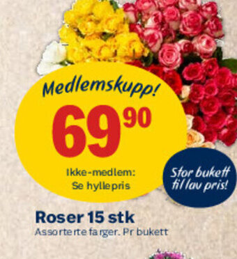 Coop Mega Roser 15 Stk tilbud