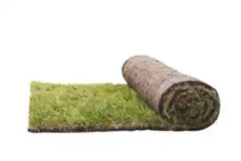Plantasjen Ferdigplen tilbud