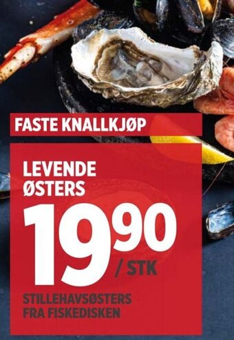 Meny Levende østers tilbud