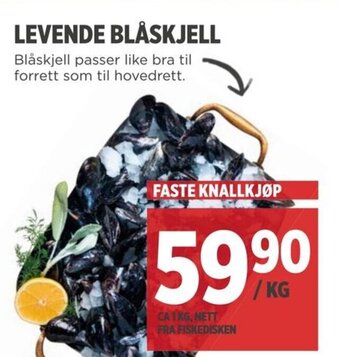 Meny Levende Blåskjell tilbud