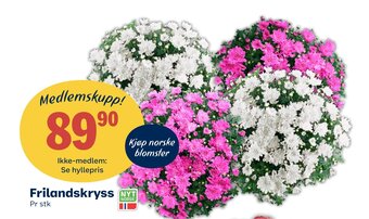 Coop Extra Frilandskryss tilbud