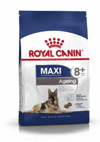 Plantasjen Royal canin maxi ageing 8+ tilbud