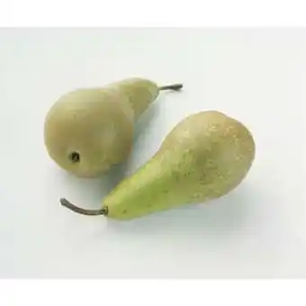 Pærer