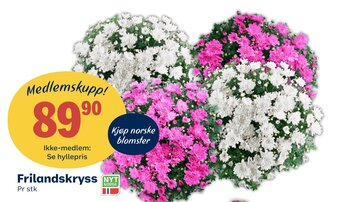 Coop Extra Frilandskryss tilbud