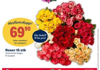 Coop Extra Roser 15 Stk tilbud