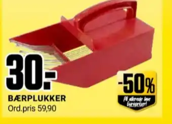 Ukjent bærplukker
