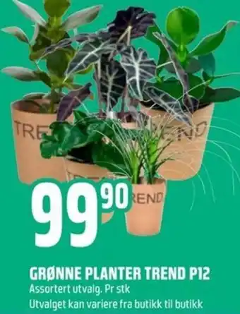 Coop Obs Grønne Planter Trend P12 tilbud