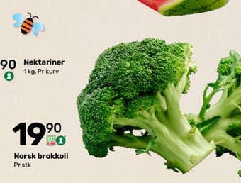 Matkroken Norsk brokkoli tilbud