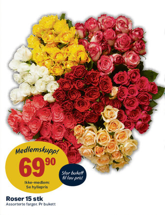 Matkroken Roser 15 stk tilbud