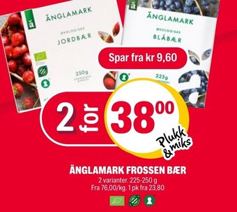 Änglamark Frossen Bær