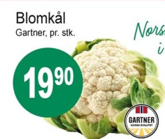 Joker Gartner blomkål tilbud