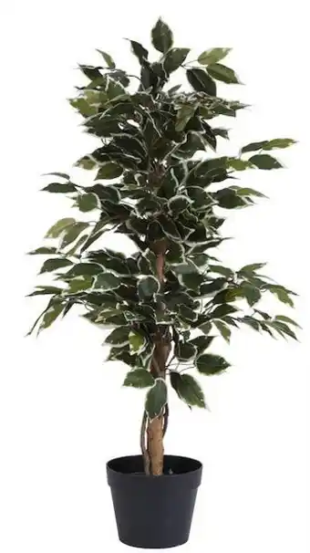 Rusta Potteplante fiken tilbud