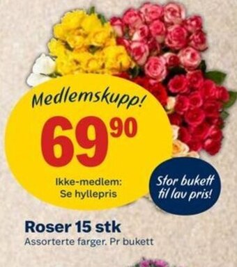 Coop Mega Roser 15 Stk tilbud