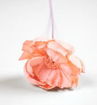 Kid Interiør Tørkede blomster korall tilbud