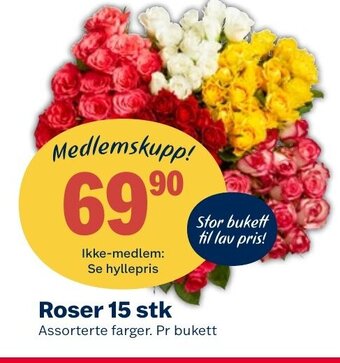 Coop Extra Roser 15 Stk tilbud