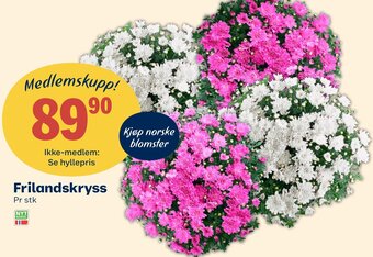 Coop Extra Frilandskryss tilbud
