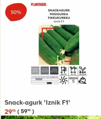 Plantasjen Snack-agurk 'iznik F1' tilbud