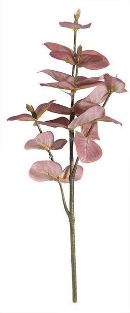 Rusta Eukalyptus tilbud