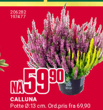 Europris Calluna tilbud