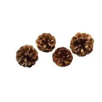 Panduro Furukongler ø 4-5 cm 13 stk tilbud