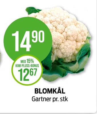 Kiwi Gartner blomkål tilbud
