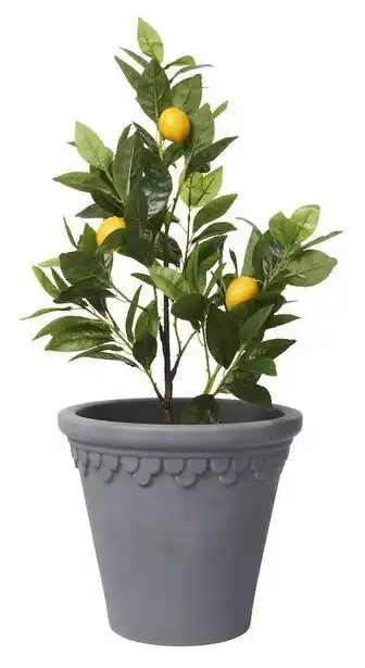 Rusta Krukke toscana tilbud