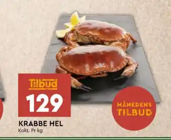 Ukjent krabbeklør