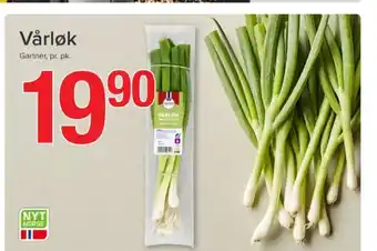 Spar Gartner vårløk tilbud