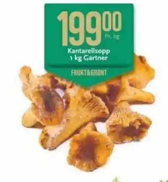 CC Mat Kantarellsopp 1 Kg Gartner tilbud