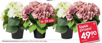 Rusta Ukjent kunstige blomster tilbud