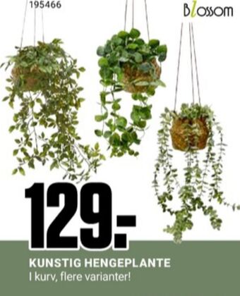 Europris Ukjent kunstige planter tilbud