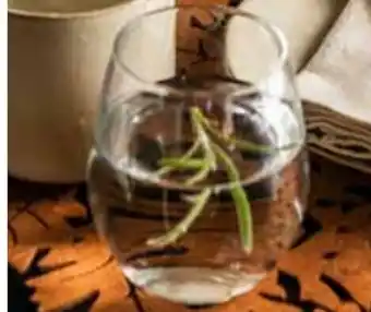 Nille Vannglass Vinissimo tilbud