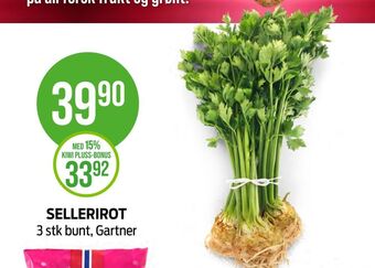 Kiwi Gartner sellerirot tilbud