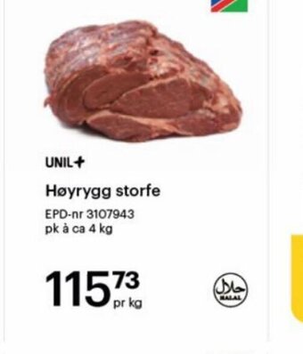 Storcash Høyrygg storfe tilbud