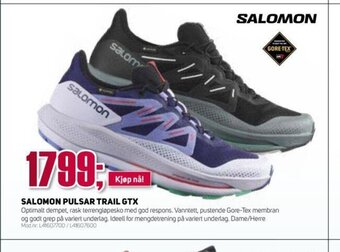 Sport 1 Salomon Pulsar Trail GTX tilbud