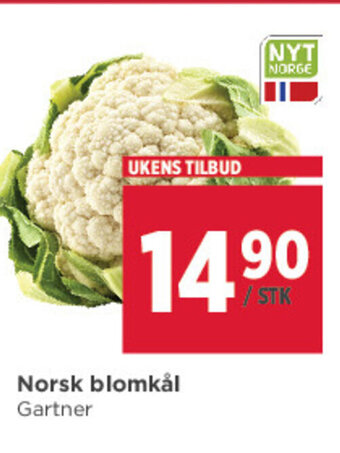 Meny Norsk Blomkål tilbud