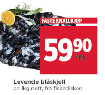 Meny Levende Blåskjell tilbud