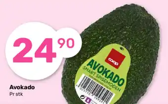 Avokado